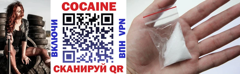 COCAIN Fish Scale  Купить закладки  Нижнекамск