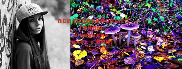 стаф Киреевск