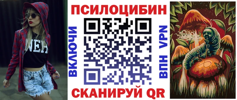 Псилоцибиновые грибы MAGIC MUSHROOMS  Купить закладки  Нижнекамск 